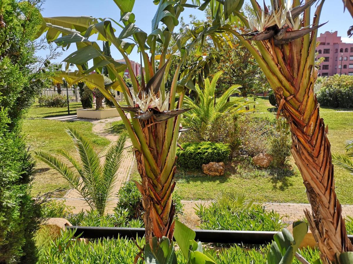 Jardines De Isla Canela, Planta Baja. Luaran gambar